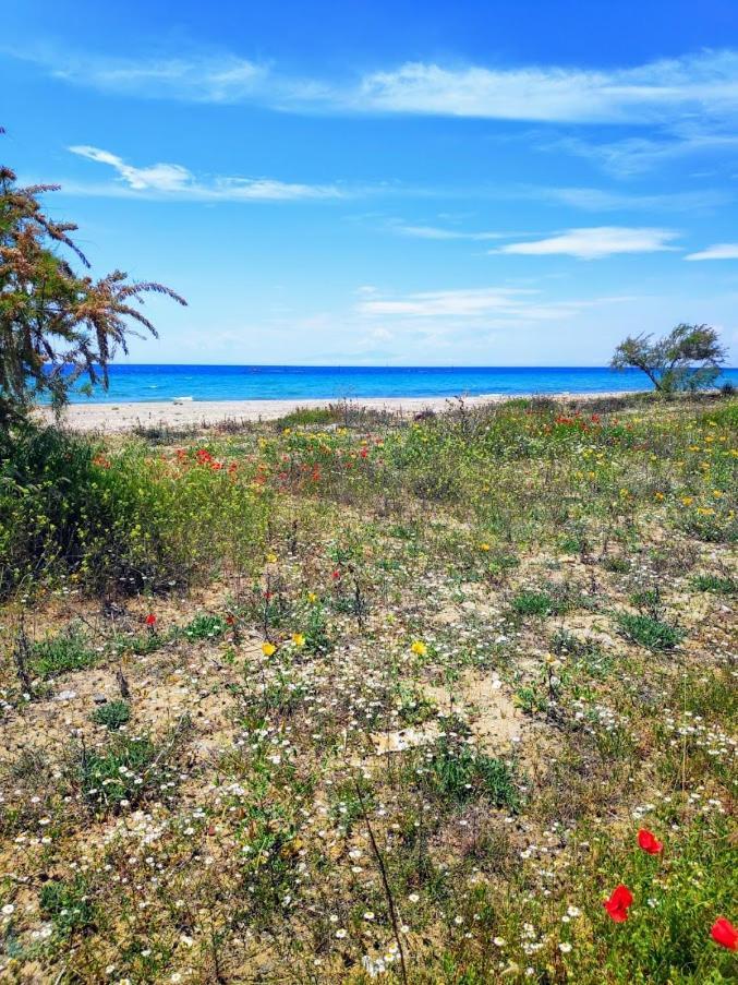Seaside Family Apartment In Paralia Dionisiou Paralia Dionysiou Exterior foto