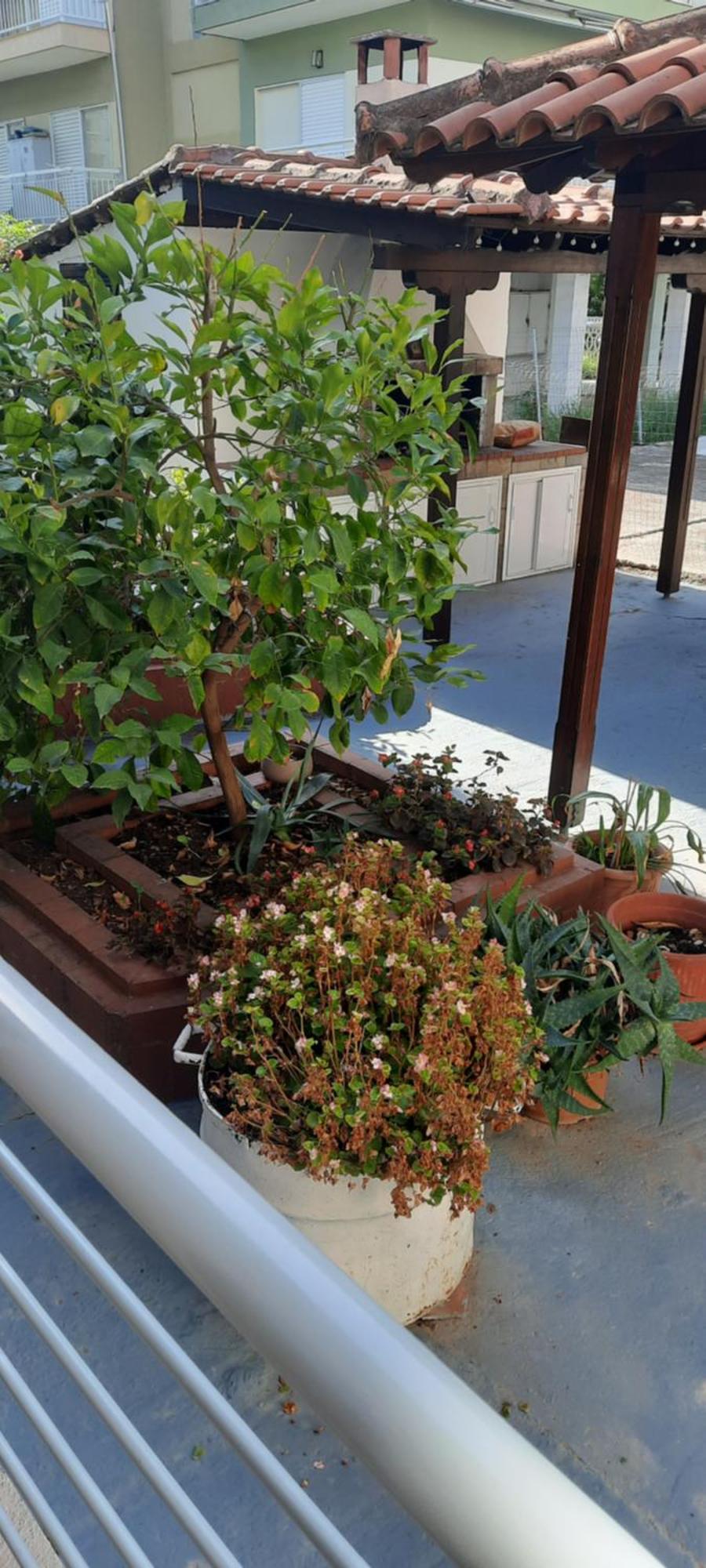 Seaside Family Apartment In Paralia Dionisiou Paralia Dionysiou Exterior foto