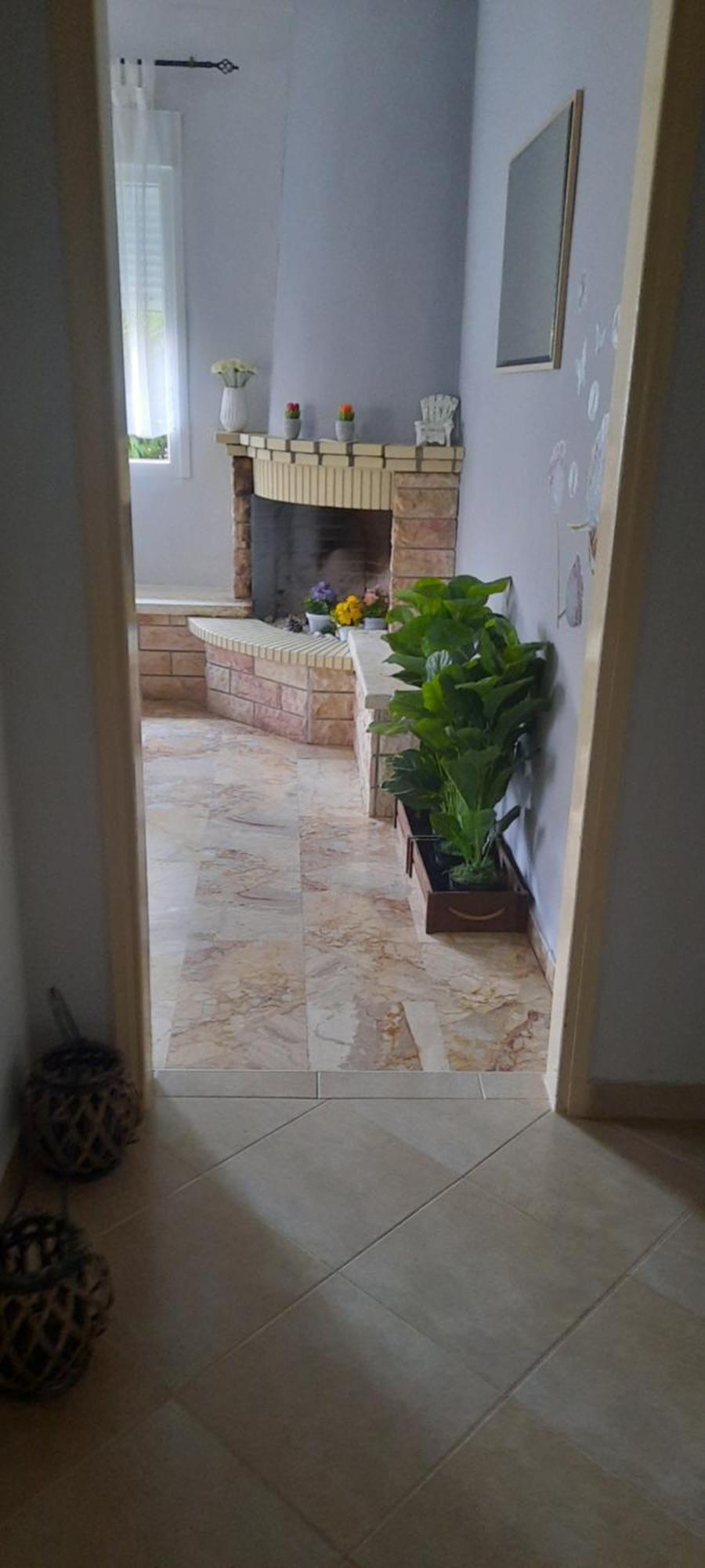 Seaside Family Apartment In Paralia Dionisiou Paralia Dionysiou Exterior foto